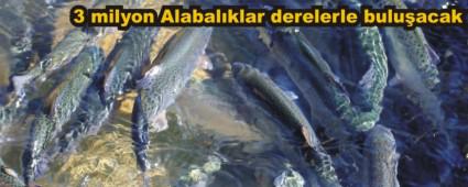Alabalklar derelerle buluacak