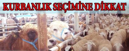 KURBANLIKLARIN DENETM ARTIRILDI