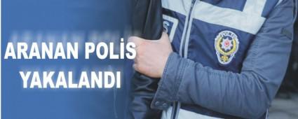 Aranan polis yakaland