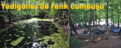 Yedigller'de renk cmb