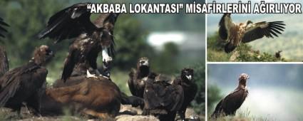 Akbaba Lokantas misafirlerini arlyor