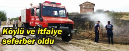 Anz yangn glkle sndrld