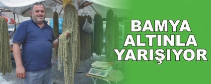 25 LN ESNAFI GEREDE PANAYIRI'NDA