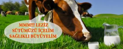 i st retiminde destee devam