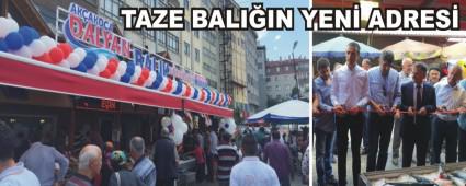 TAZE BALIIN YEN ADRES