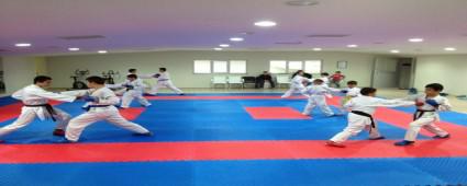 Karateciler Sakarya Ligine hazr