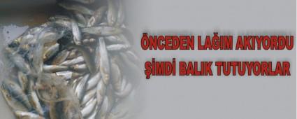 NCEDEN LAIM AKIYORDU MD BALIK TUTUYORLAR