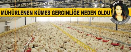 MHRLENEN KMES GERGNLE NEDEN OLDU