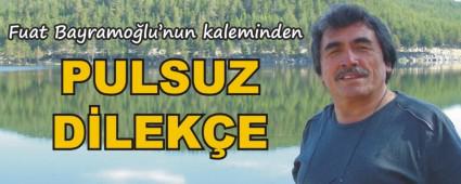 PULSUZ DLEKE