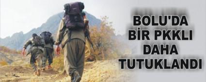 BOLU'DA BR PKKLI DAHA TUTUKLANDI