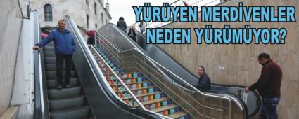 YRYEN MERDVENLER NEDEN YRMYOR?
