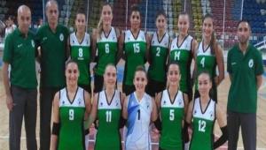 VOLEYBOLCULARIN YZ GLD