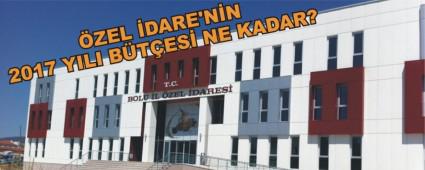 ZEL DARE'NN 2017 YILI BTES NE KADAR?