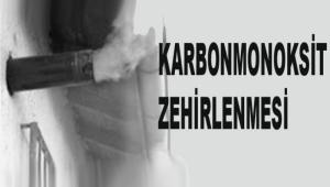 BOLU'DA KARBONMONOKST ZEHRLENMES