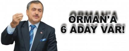 ORMAN'A 6 ADAY VAR!