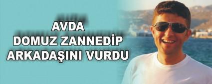 AVDA DOMUZ ZANNEDP ARKADAINI VURDU