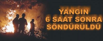 GEREDE'DE ORMAN YANGINI