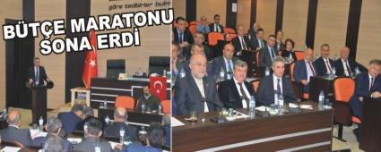 BTE MARATONU SONA ERD