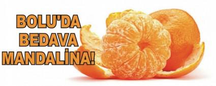 BOLU'DA BEDAVA MANDALNA!