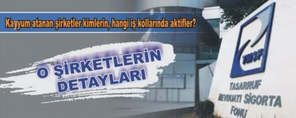 Kayyum atanan irketler kimlerin, hangi i kollarnda aktifler?