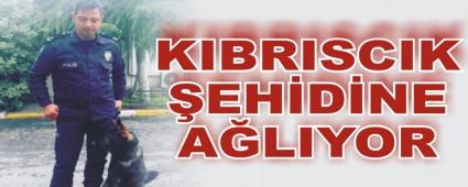 Kbrsck bu haberle ykld