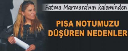 PISA NOTUMUZU DREN NEDENLER