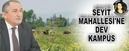 SEYT MAHALLES'NE DEV KAMPS