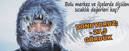 Bolu merkez ve ilelerde llen scaklk deerleri ka?