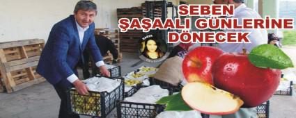 SEBEN AAALI GNLERNE DNECEK