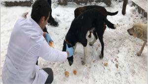  GYNK BELEDYESN AYAKTA ALKILIYORUZ