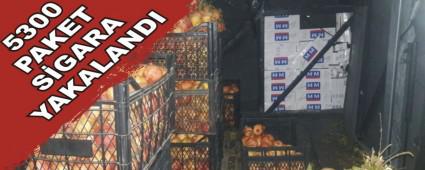 5300 PAKET SGARA YAKALANDI