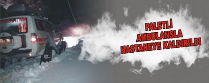 PALETL AMBULANSLA HASTANEYE KALDIRILDI