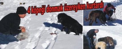 4 kpei donmak zereyken kurtard