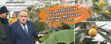 BOLU BELEDYESNE AT SERALARDA TROPKAL MEYVELER RETLYOR