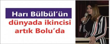 HARI BLBL BOLU'DA YKSELD