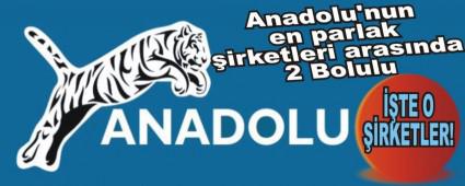 Anadolu'nun en parlak irketleri arasnda 2 Bolulu