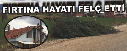 FIRTINA HAYATI FEL ETT