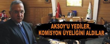 AKSOY'U YEDLER, KOMSYON YELN ALDILAR