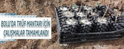 BOLU'DA TRF MANTARI N ALIMALAR TAMAMLANDI