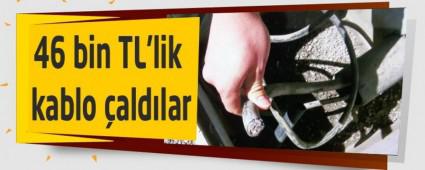 46 bin TL'lik kablo aldlar