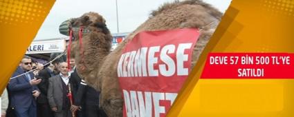 DEVE 57 BN 500 TL'YE SATILDI