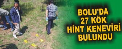 BOLU'DA 27 KK HNT KENEVR BULUNDU