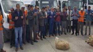 Yeni aralar iin kurban kesildi