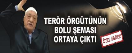 TERR RGTNN BOLU EMASI ORTAYA IKTI