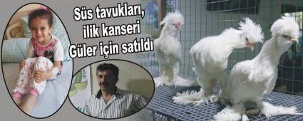 Ss tavuklar, ilik kanseri Gler iin satld