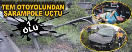 TEM OTOYOLUNDAN ARAMPOLE UTU 1 L