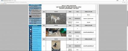 "SATIN ALMAYIN SAHPLENN"