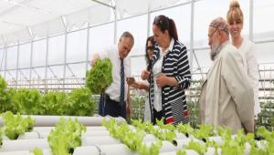 almalara hayran kald