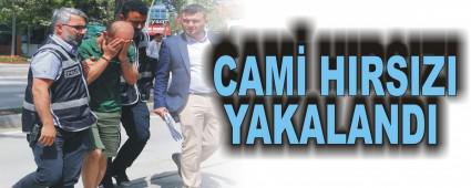 CAM HIRSIZI YAKALANDI