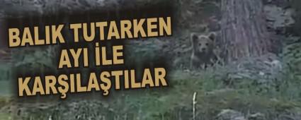 BALIK TUTARKEN AYI LE KARILATILAR